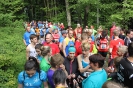 Rund um den Lauf 2015