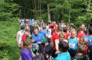 Rund um den Lauf 2015