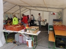 Rund um den Lauf 2015