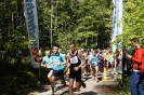 ChallengeLight_5