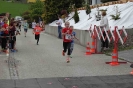 rundUmLAUF_40